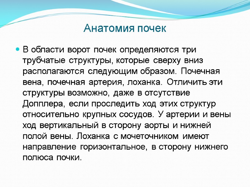 Анатомия почек В области ворот почек определяются три трубчатые структуры, которые сверху вниз располагаются